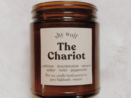 Shy Wolf Candles - The Chariot - Santal, amber Online Sale