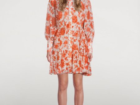 ZIMMERMANN Postcard Lantern Sleeve Mini Dress In Floral Print Size 1 (Small) For Sale