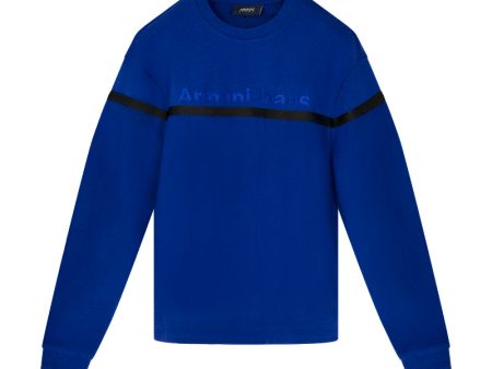 Armani Logo Blue Sweatshirt Online Hot Sale