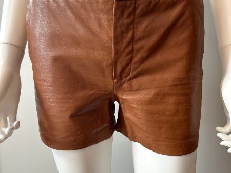 Object by Danier Leather Brown leather shorts Size 2 on Sale